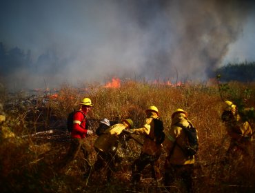 Rescataron a dos personas en medio de un incendio forestal en la región del Maule