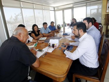 Toma fuerza proyecto para contar con posada para helicópteros en Villa Alemana