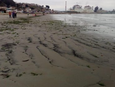 Confirman nuevo varamiento de carbón en playa de Ventanas: sólo en enero hubo 22 casos