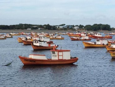 Destacan avances de proyecto que busca fortalecer a zonas de la región de Los Lagos