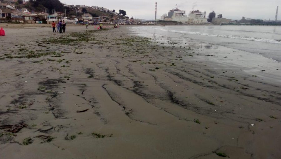 Confirman nuevo varamiento de carbón en playa de Ventanas: sólo en enero hubo 22 casos