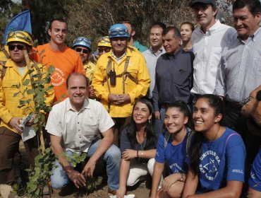 Inician campaña de reforestación del Cerro San Cristóbal