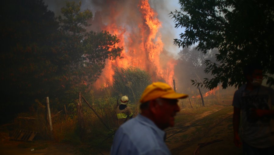 541 días de pena remitida a joven que inició incendio forestal con encendedor