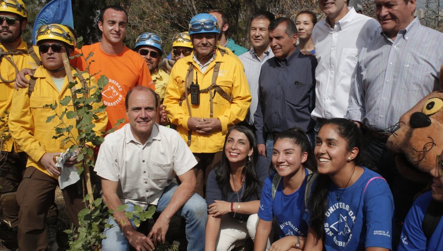 Inician campaña de reforestación del Cerro San Cristóbal