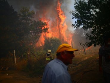 541 días de pena remitida a joven que inició incendio forestal con encendedor