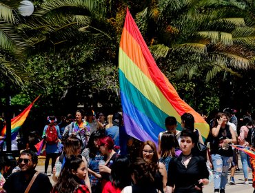 Movilh se manifestará por mujeres lesbianas, bi y trans en el frontis de La Moneda