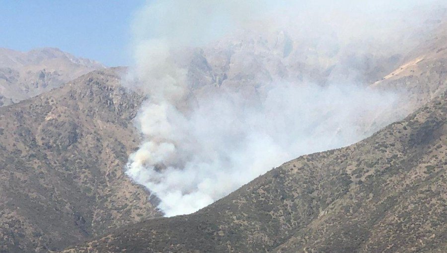 Declaran Alerta Amarilla en La Florida por incendio forestal en el cerro Panul