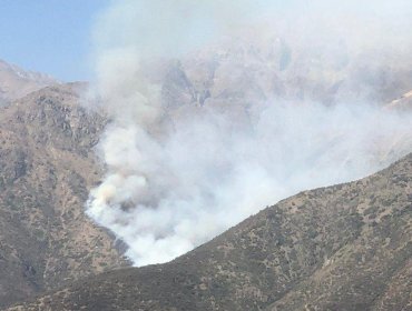 Declaran Alerta Amarilla en La Florida por incendio forestal en el cerro Panul