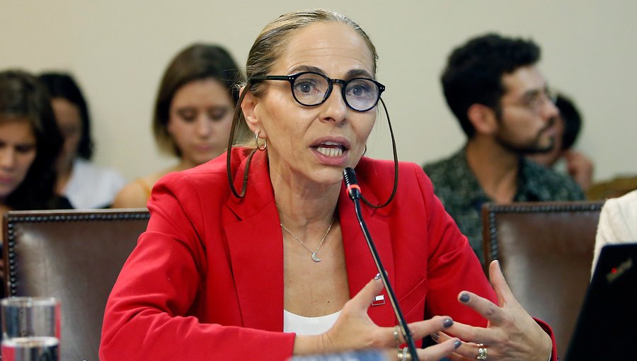 Ministra de la Mujer critica desprotección de víctima de femicidio en Recoleta: "Es inexplicable"