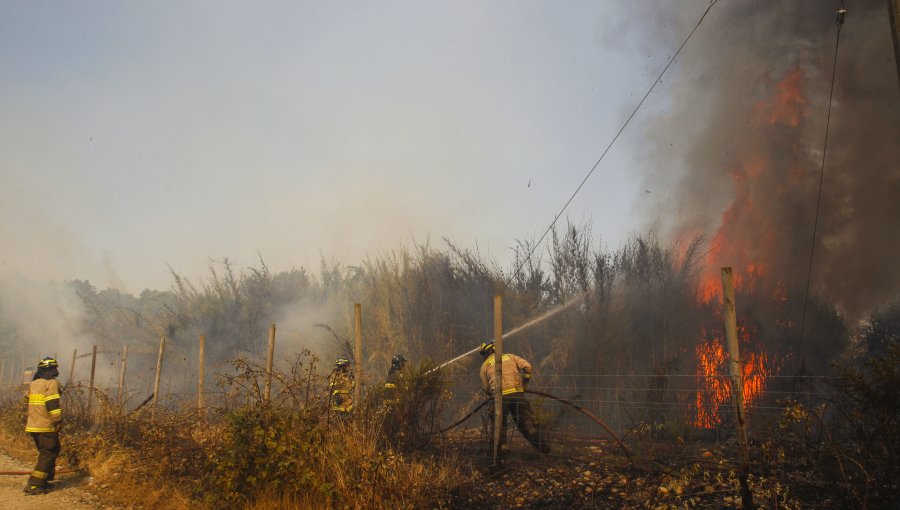 Onemi declara Alerta Roja en Traiguén por incendio forestal