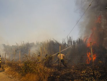 Onemi declara Alerta Roja en Traiguén por incendio forestal