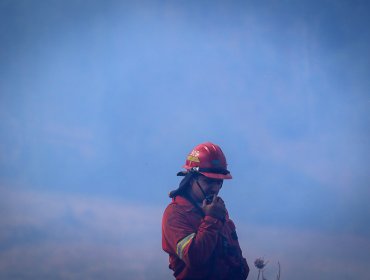 Incendios forestales-urbanos movilizan a Bomberos en Valparaíso y Viña del Mar