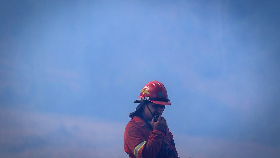 Incendios forestales-urbanos movilizan a Bomberos en Valparaíso y Viña del Mar