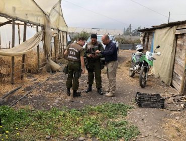 Detienen a hombre que realizó quema ilegal de desechos agrícolas en Quillota