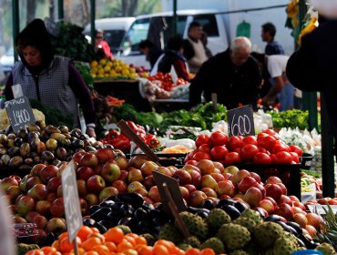 Proponen crear un Mercado Popular en Viña del Mar para bajar índices de obesidad infantil