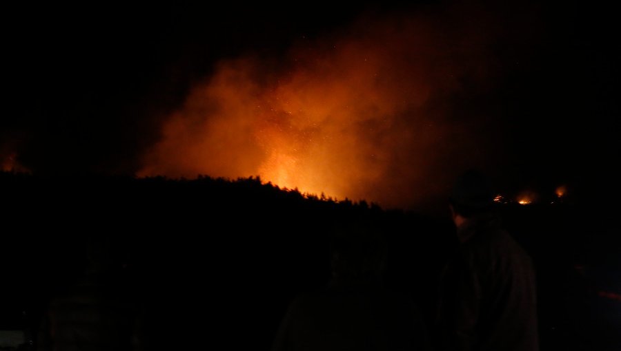 Onemi declaró Alerta Amarilla en la comuna de Angol por incendio forestal