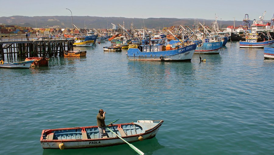 Comisión de Pesca de la Cámara de Diputados aprobó anular la "Ley Longueira"