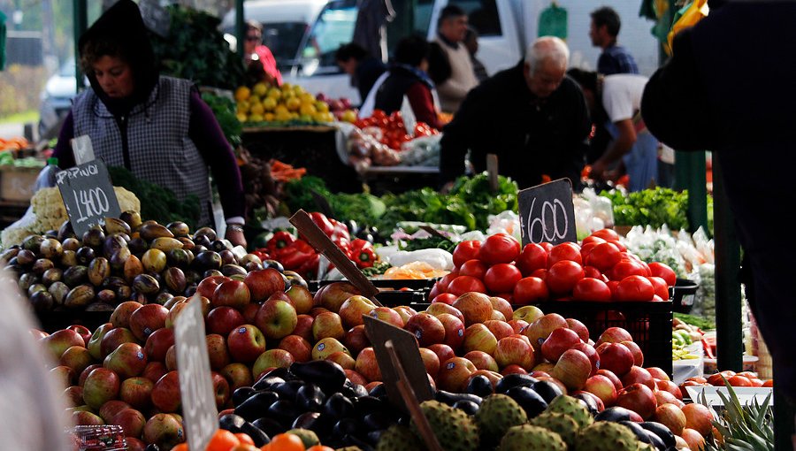 Proponen crear un Mercado Popular en Viña del Mar para bajar índices de obesidad infantil