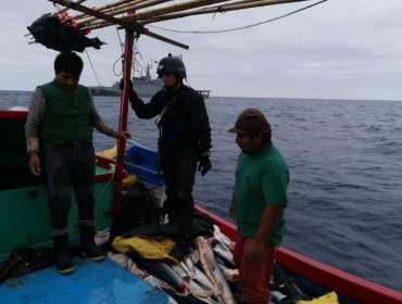 Armada captura a pesquero peruano con 900 kilos de tiburón azul frente a Pisagua