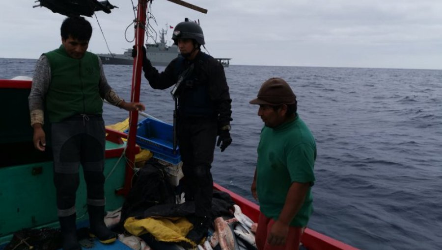 Armada captura a pesquero peruano con 900 kilos de tiburón azul frente a Pisagua