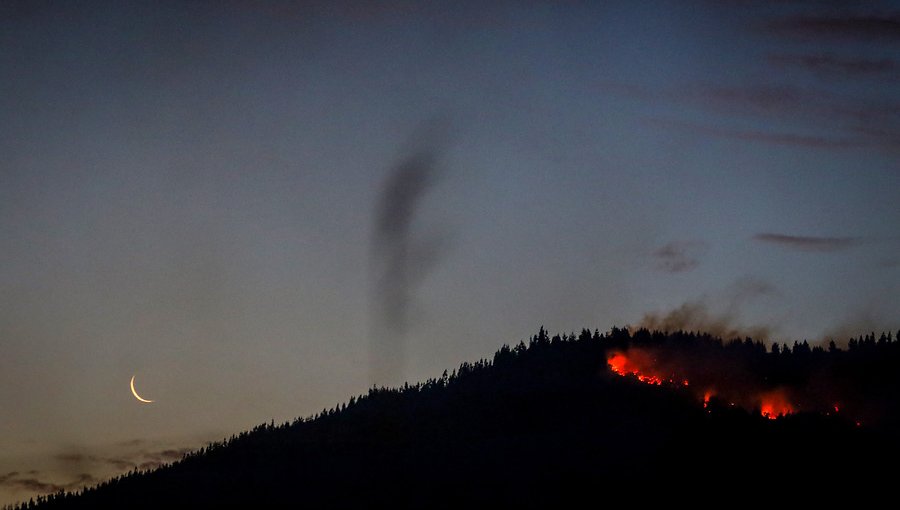 Declaran Alerta Preventiva en La Araucanía por amenaza de incendios forestales