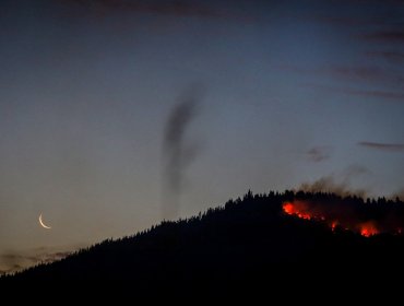 Declaran Alerta Preventiva en La Araucanía por amenaza de incendios forestales