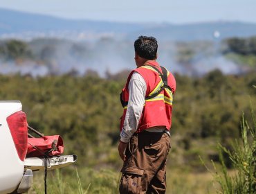 Incendio forestal moviliza a equipos de emergencia en Llolleo, San Antonio