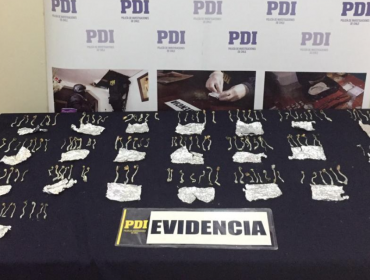 PDI incautó 169 hongos alucinógenos desde una vivienda de Los Andes