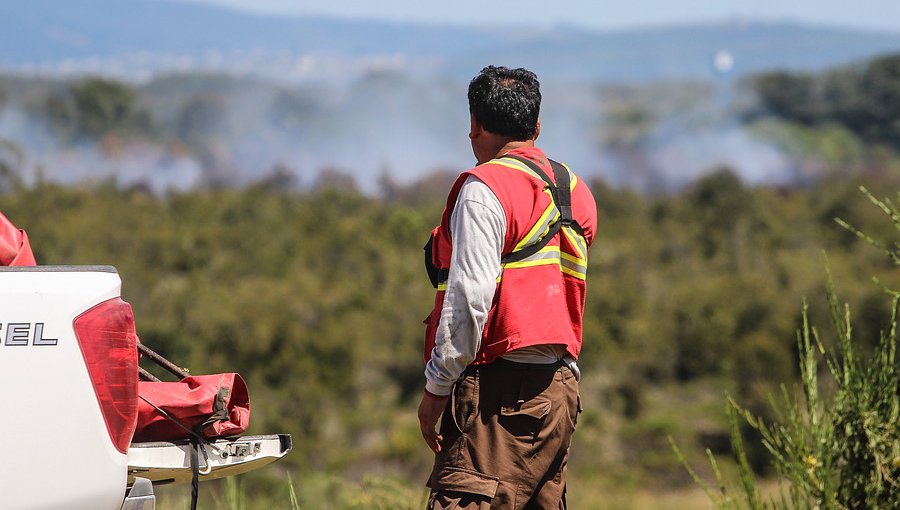 Incendio forestal moviliza a equipos de emergencia en Llolleo, San Antonio