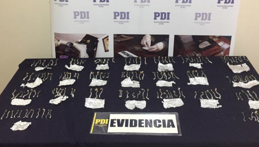 PDI incautó 169 hongos alucinógenos desde una vivienda de Los Andes