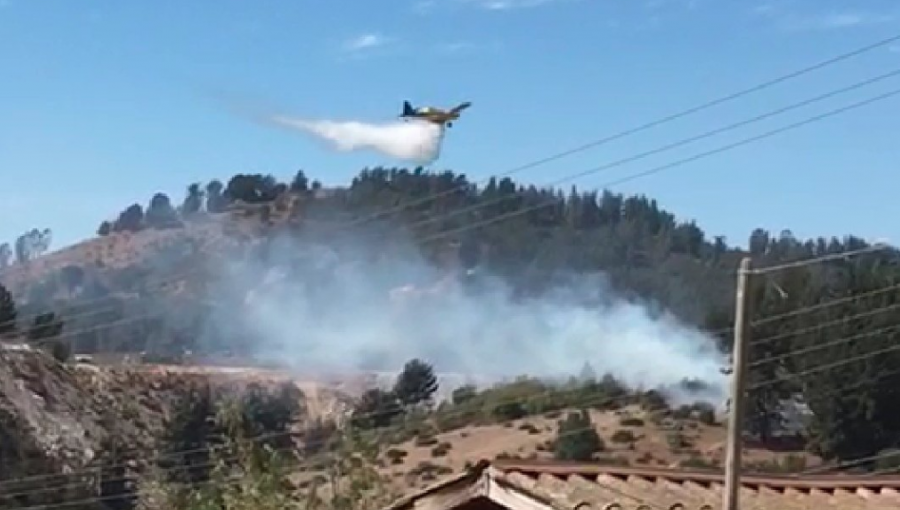 Incendio forestal moviliza a equipos de emergencia al fundo La Mariposa de Placilla