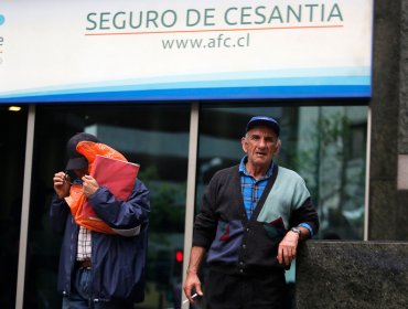 Seguro de cesantía da cuenta de 202.426 nuevos cotizantes con contratos