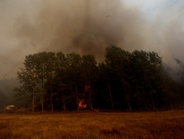 Acusan a comuneros mapuche de iniciar incendio forestal en Victoria, La Araucanía