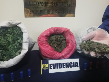 Cayó banda que cultivaba marihuana para comercializarla entre microtraficantes de Los Andes