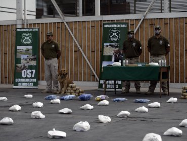 Detienen a traficante que transportaba 500 kilos de droga en 28 sacos en Antofagasta