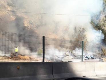 Incendio forestal en subida Santos Ossa moviliza a equipos de emergencia de Valparaíso