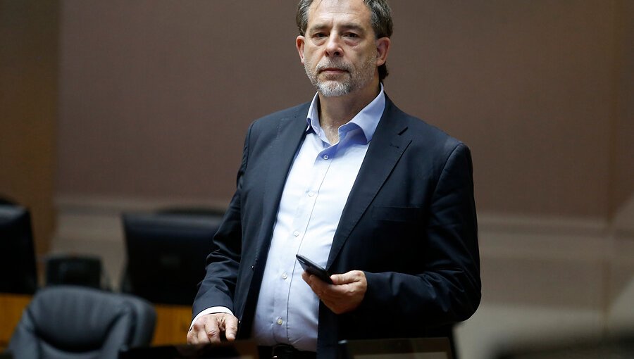Senador Girardi presentó denuncia por muerte de delfines: espera penas de cárcel