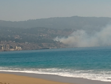 Tres hectáreas consumió incendio forestal en sector Laguna Verde de Valparaíso