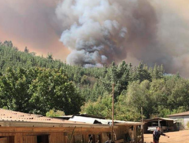 Alerta Roja en Paredones por incendio forestal que ha consumido 57 hectáreas y amenaza a viviendas