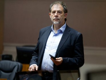 Senador Girardi presentó denuncia por muerte de delfines: espera penas de cárcel