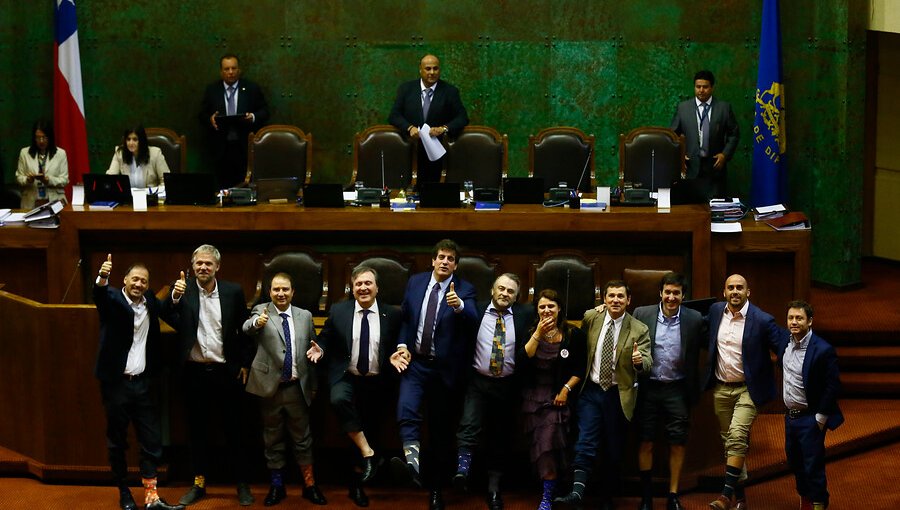 Fotos: Cámara de Diputados conmemoró el Día Mundial del Síndrome de Down con particular acción
