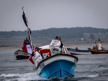 Dirigentes pesqueros denunciaron amenazas de despidos por ley de la jibia
