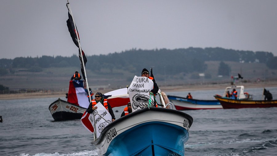 Dirigentes pesqueros denunciaron amenazas de despidos por ley de la jibia