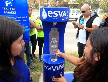 Inauguran inéditos puntos de hidratación para personas y mascotas en Viña del Mar