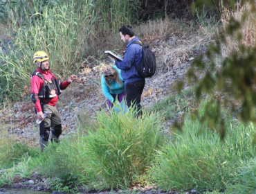 Encuentran pertenencias de joven viñamarino que lleva siete días perdido en Osorno