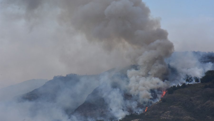 Catorce incendios forestales se mantienen activos en la región de La Araucanía