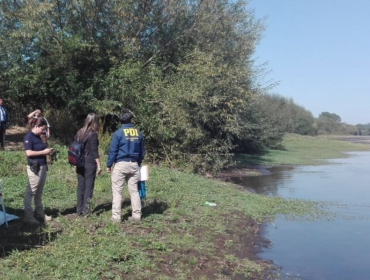 PDI investiga si cadáver encontrado en río Rahue de Osorno se trata de estudiante viñamarino desaparecido