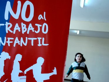 Denuncias por vulneración a la ley laboral de trabajo infantil disminuyeron un 35%