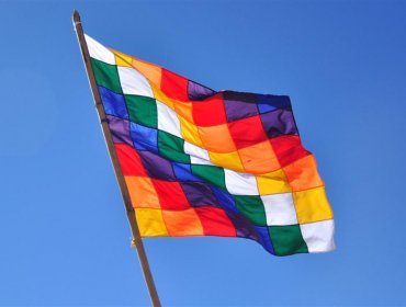 Aprueban ramo sobre "Lengua y Cultura de los Pueblos Originarios Ancestrales"