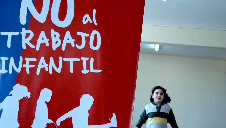 Denuncias por vulneración a la ley laboral de trabajo infantil disminuyeron un 35%